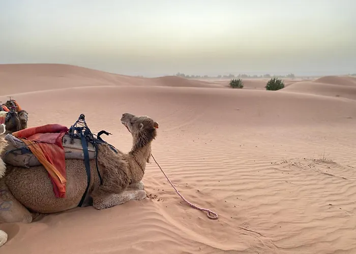 Erg Chebbi Sahara Camp
